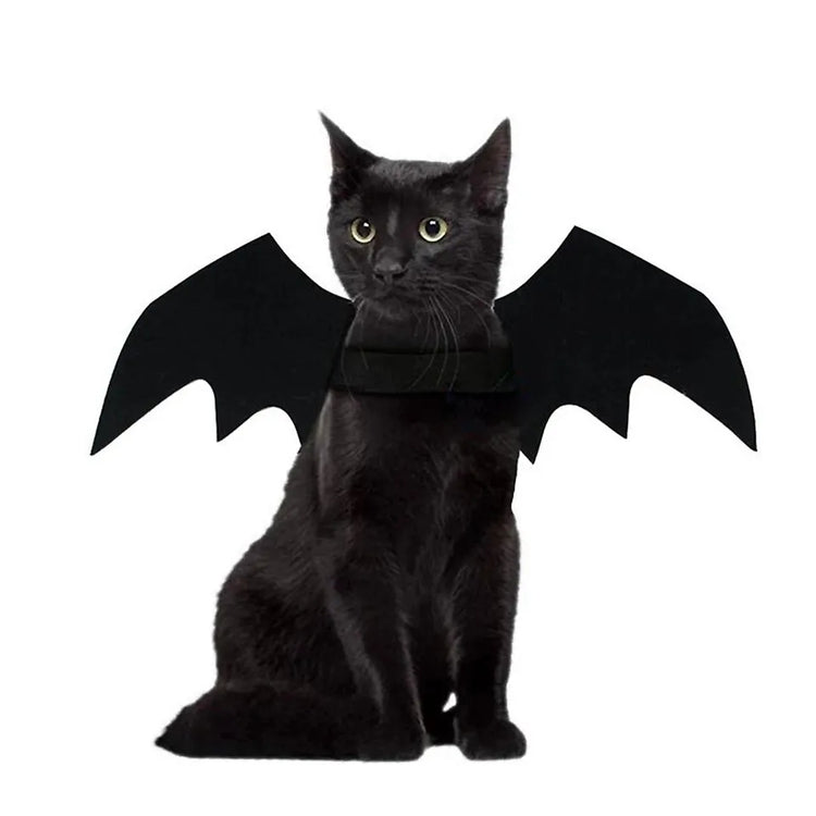 Halloween Bat Wings for your Familiar - JOURNEY artisan soaps & candles