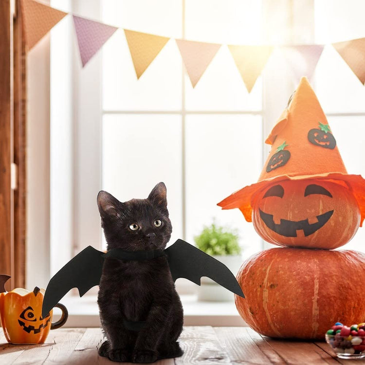 Halloween Bat Wings for your Familiar - JOURNEY artisan soaps & candles