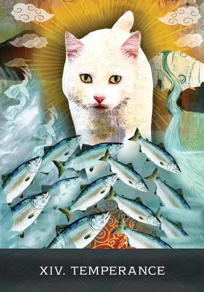 Grimalkin's Curious Cats Tarot