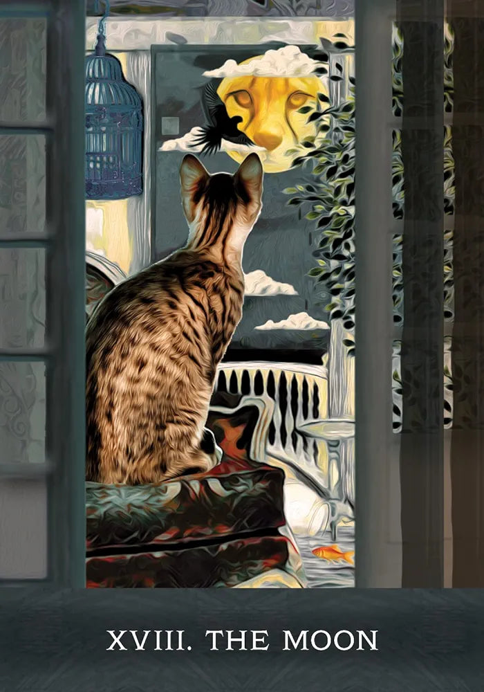 Grimalkin's Curious Cats Tarot