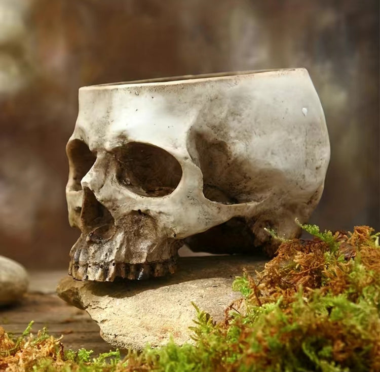 Skull Planter