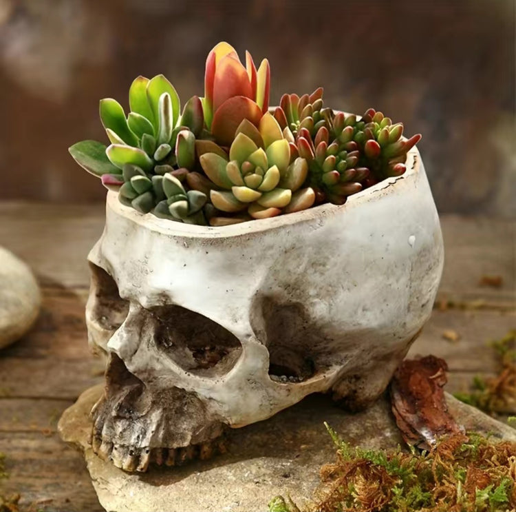 Skull Planter