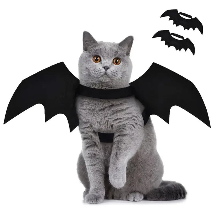Halloween Bat Wings for your Familiar - JOURNEY artisan soaps & candles