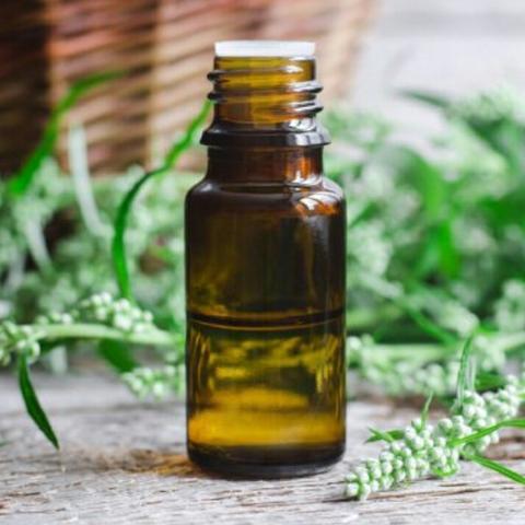 Mugwort Essential Oil - JOURNEY artisan soaps & candles