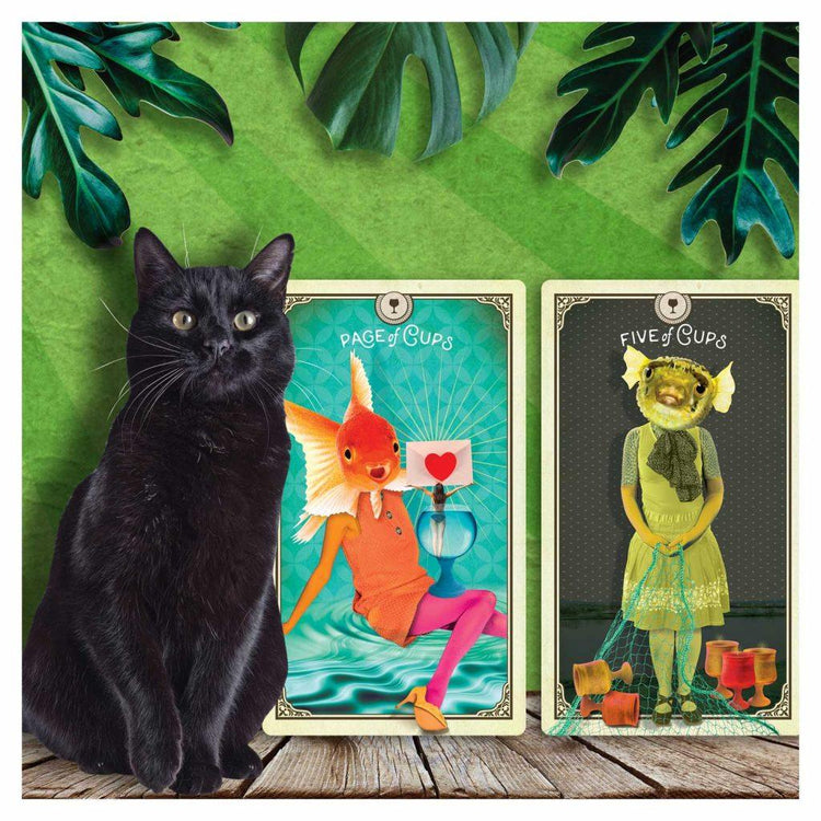 The Tarot of Curious Creatures: A 78 (+1) Card Deck and Guidebook - JOURNEY artisan soaps & candles