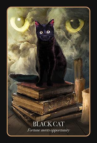 The Halloween Oracle Set,
Lifting the Veil Between the Worlds Every Night - JOURNEY artisan soaps & candles