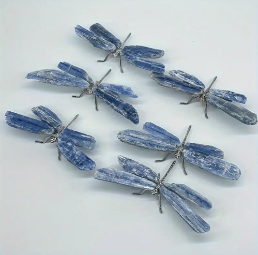 Blue Kyanite Dragonfly