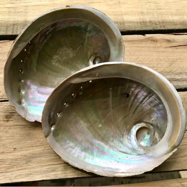 Abalone Shells -The perfect accessory to get your smudge on - JOURNEY artisan soaps & candles