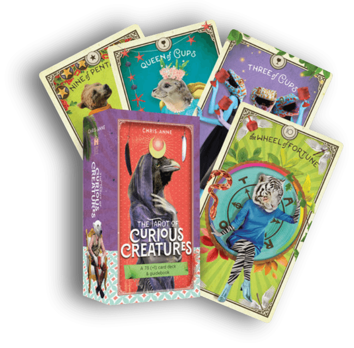 The Tarot of Curious Creatures: A 78 (+1) Card Deck and Guidebook - JOURNEY artisan soaps & candles
